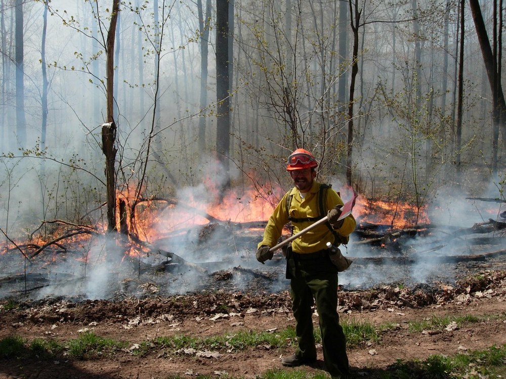 Wildfire Lesson Plans A forest firefighter works to contain a wildfire